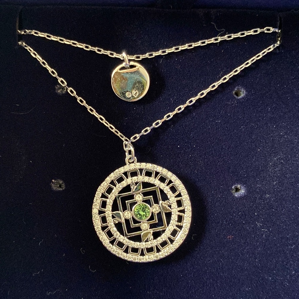 NWT Layered Necklace
